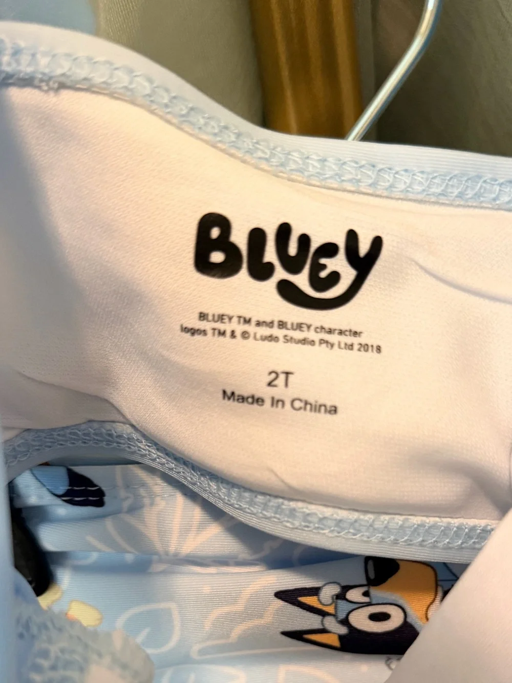 'Let's Explore' Bluey Light Blue Girls' Swim Set - Blue